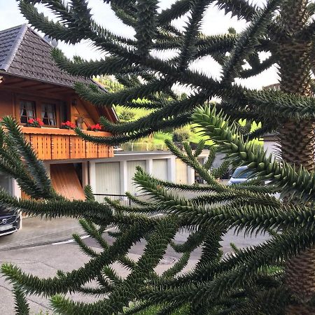 Pension Haus Rose Oberharmersbach Εξωτερικό φωτογραφία