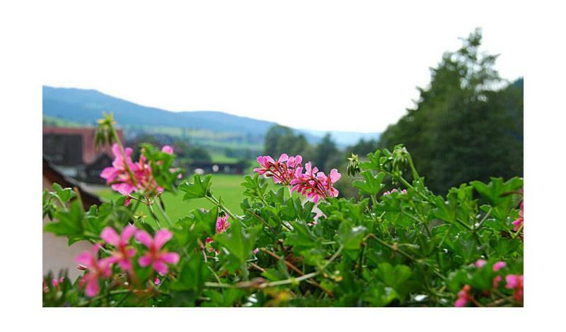 Pension Haus Rose Oberharmersbach Εξωτερικό φωτογραφία